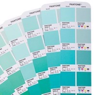 Pantone Color Bridge, Coated - GG6103B